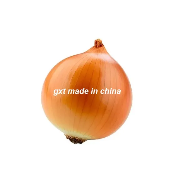Fresh Yellow Onion From China Supplier