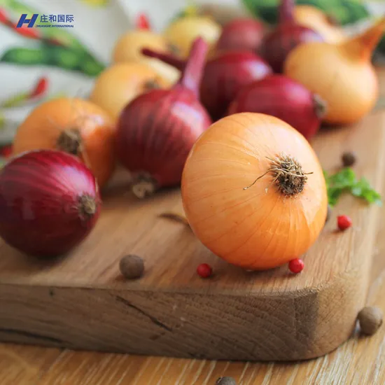 Fresh Certified Top Quality and Competitively Priced Onions and Good Price Wholesale Price to Wholesalers and Taste Delicious