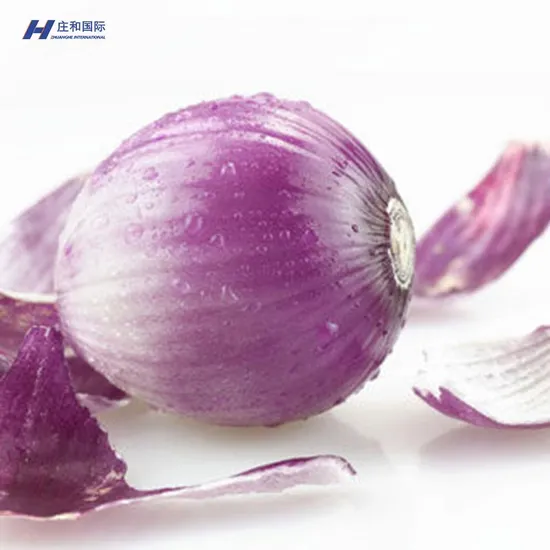 Fresh Certified High Quality and Competitively Priced Onions and Good Price Wholesale Price to Wholesalers and Taste Is Delicious