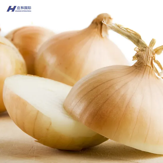 Fresh Certified Top Quality and Competitively Priced Onions and Good Price Wholesale Price to Wholesalers and Taste Is Delicious
