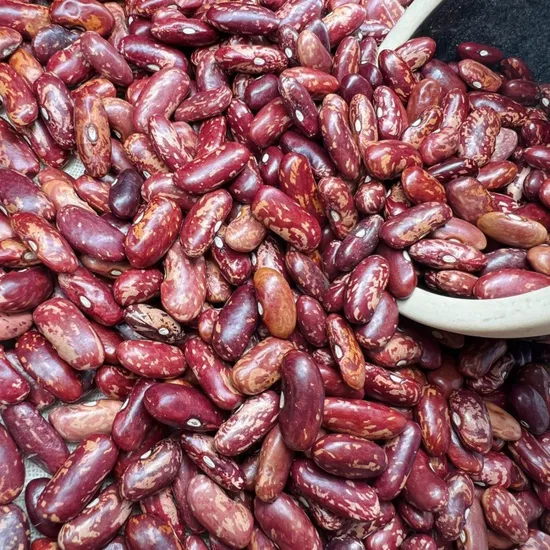 Selected Red Kidney Beans, Red Kidney Beans and Big Kidney Beans in 2023