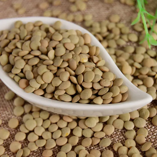 Red Lentils Green Lentils Split Lentils Top Quality