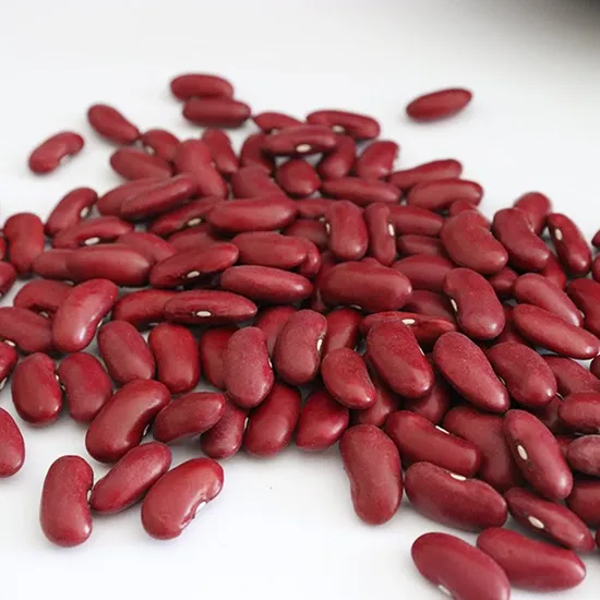 Wholesale Dried Organic Red Beans Dark Red Kidney Beans