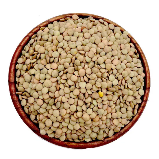 High Quality New Crop Green Lentils Natural Pure Green Lentils with Competitive Price Non GMO Product