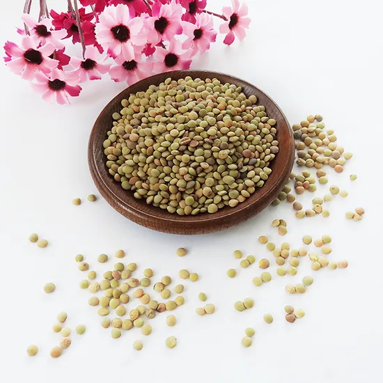Green Lentils Dried Lentils Wholeslae