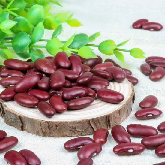 Best Quality Chinese Red Kidney Beans Wholesale Price
