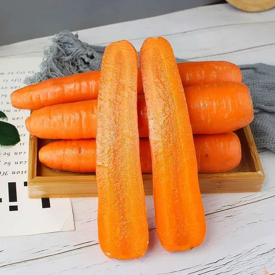 Top Grade Wholesale Bulk Fresh Carrot / New Harvest Carrot for Export Competitive Price