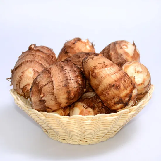 New Crop Fresh Taro Factory Price Hot Sale Cheap Price