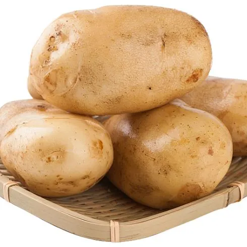 2024 New Fresh Crop with High Quality and Low Price of Potato