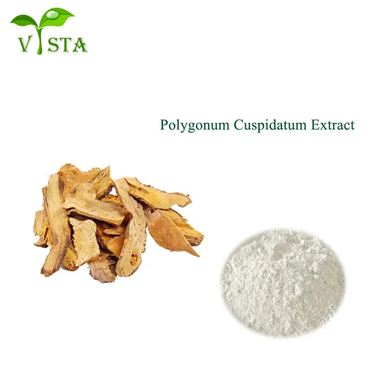 High Quality Polygonum Cuspidatum Extract 50%~98% Resveratrol Powder CAS 501-36-0