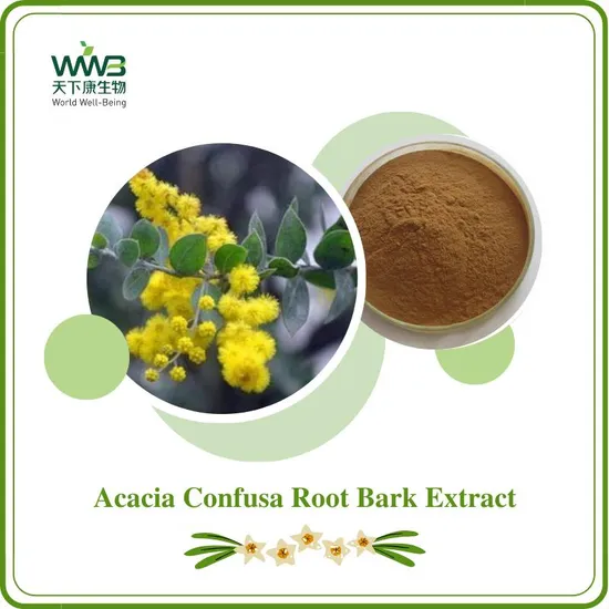 World Well-Being Factory Direct Supplier Free Sample Herbal Extract 100% Natural 10: 1 Acacia Confusa Root Bark Extract