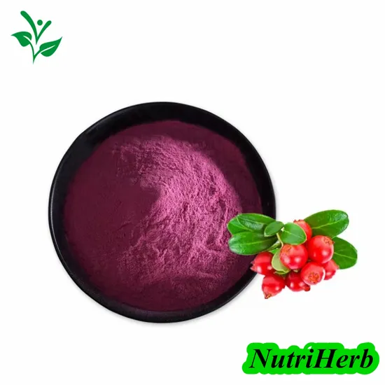 Factory Bulk Supply Wild European Bilberry Powder for Eyes Super Supplement