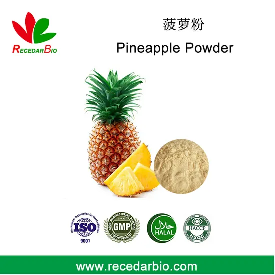 Natural Spray Drying Water Soluble Fruit Powder Pineapple Powder