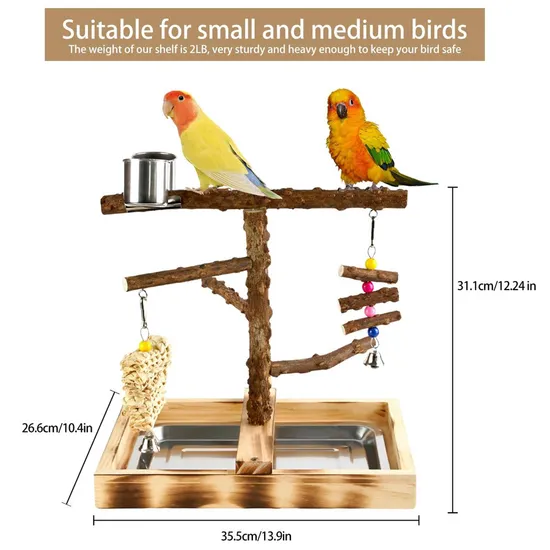 Colorful Large Bird Stand Prickly Ash Wood Bird Stand Swing Ring Toy