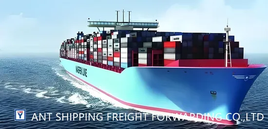 LCL/FCL DDU/DDP Shipping Ocean Freight Forwarder Air Shipment Railway Logistics Sea Freight From China to USA/Canada/Europe/Middle East/Southeast Asia