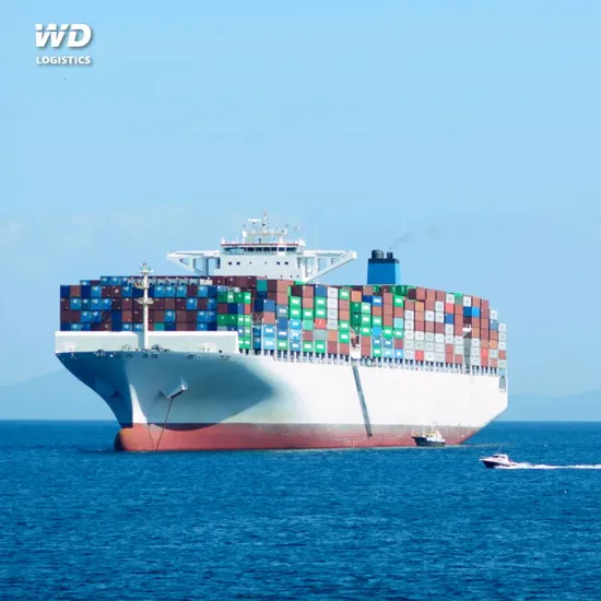 Sea Shipping From China to Kingston Jamaica Sea Freight Shipping Service