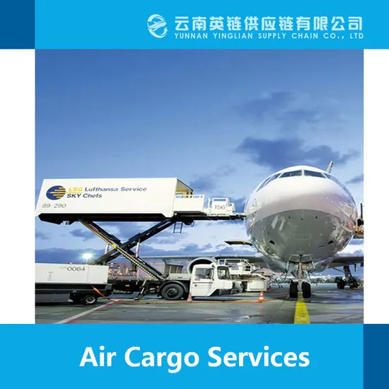 Freight Forwarder Logistics Service Shipping Agent DDU DDP Air Shipping Container Cargo Ship From China to Russia/Belarus