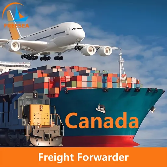 Competitive Container Shipping Price to Montreal or China Sea Freight to Vancouver