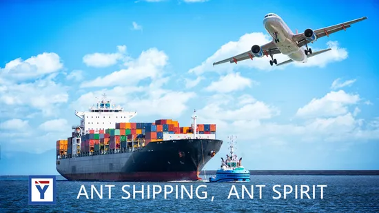 Air Freight Fowarder Sea Shipment LCL/FCL Shipping Agent Transportation From China to Global