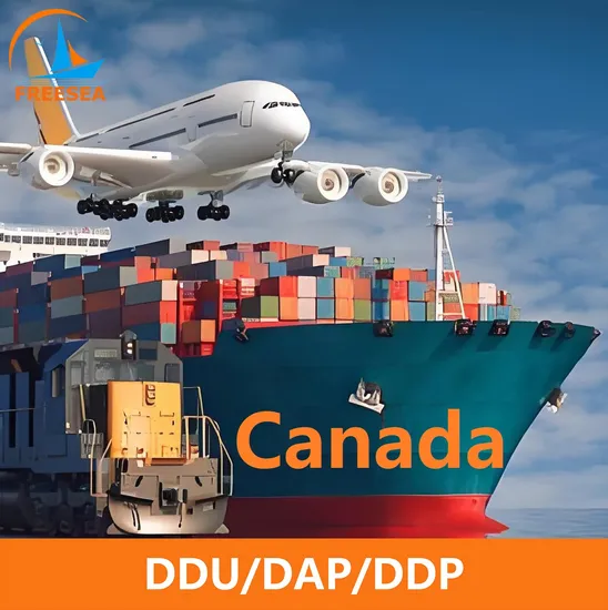 Guangzhou Competitive Ocean Freight to Canada or Canada Fba Amazon Warehouse Services