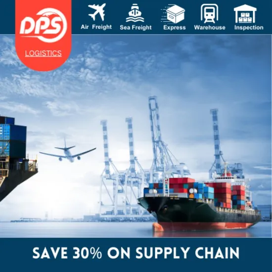 Reliable Logistics Company Sea Freight Forwarder From China to Argentina