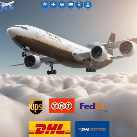 China Logistics Express Services DHL FedEx UPS From China to Maldives