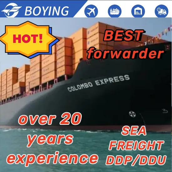 Sea Freight Forwarder Fba Cargo Air Shipping Agent DDU DDP From China to USA UK Germany Australia Canada Mexico