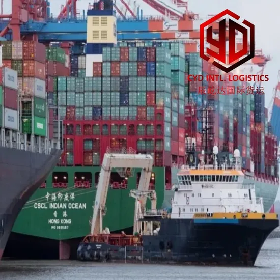 Air/Sea Ocean Freight Container FCL/LCL Agents From China to Benin Door to Door Shipping