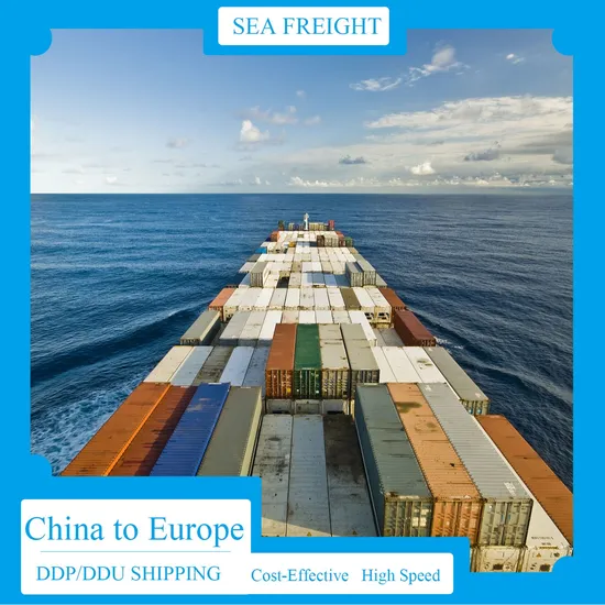 All-Inclusive Ocean Shipping Customs-Cleared Customized DDP China-Europe Shipping Plans