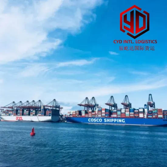 Shipping Agent Dropshipping Door to Door Dropshipping Sourcing Agent Dropshipping Warehouse Consolidation Dropshipping From China to Poland/Czech Republic