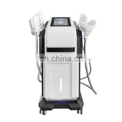 2 in 1 Cryo+Ems Slimming Face Lifting Fat Reduction Muscle Stimulator Beauty Machine Price