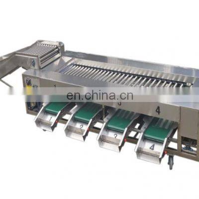 SS round shape fruit grading machine,apple sorter orange sorting machine
