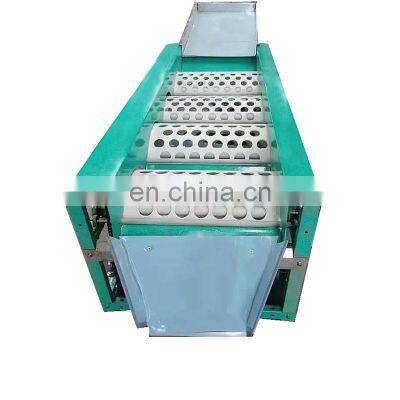 2021 Hot sale Garlic/orange/apple/jujube/Hawthorn Berry and cherry sorting machine