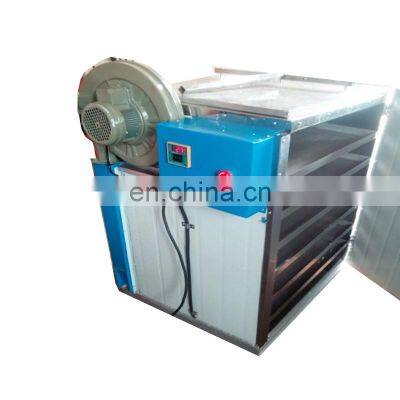 Fruit Solar Dryer Machine