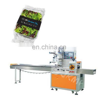 Fully Automatic Pillow Packing China Factory Automatic Frozen Vegetable Plastic Wrapper Horizontal Packing Machine