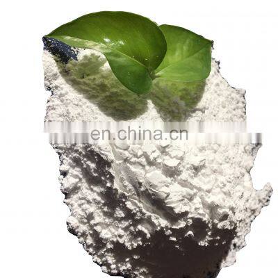 Sodium Acid Pyrophosphate SAPP for leaving agent