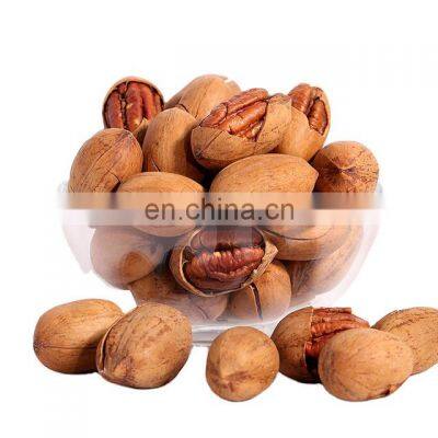 Byloo Agricultural Farm price Pecan nuts ready available/ Raw pecan kernel / shifted pecan nut