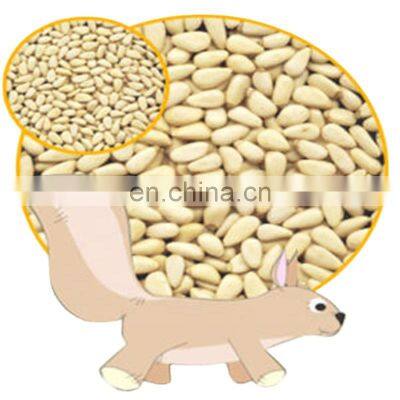 Byloo premium quality cheap bulk price wholesale white yellow pine nuts mongolia price comparison pine nuts