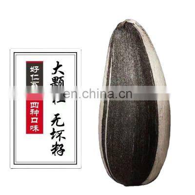 Byloo sunflower seeds maldives sunflower seeds 601 raw with highly yield sunflower seed