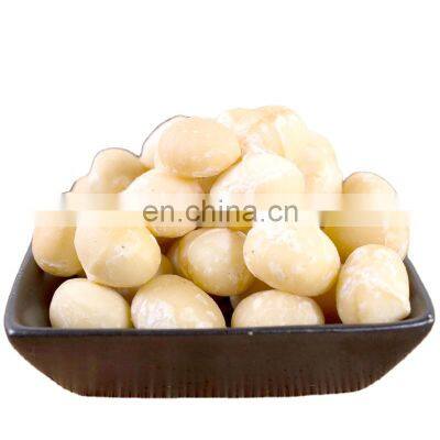 standard process private label affordable price import nuts gifts macadamia roasted nuts