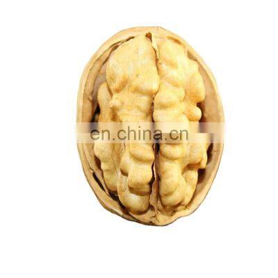 walnut xin 33 walnuts xin2 paperskin walnut not from usa