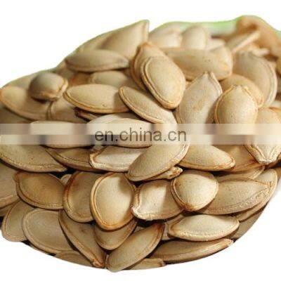 New Crop GWS Pumpkin Seeds Price A/AA/AAA Grade in Bulk Price for south africa