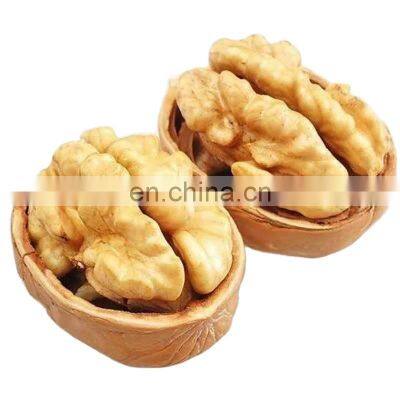high quality chinese bitter walnuts for Peru India Vietnam USA France Philippines Nepal Morocco Bangladesh Canada