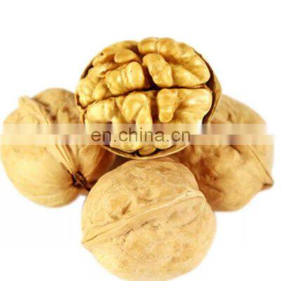 2022 china new crop ukraine uzbekistan usa california turkey from chile walnut price in dubai