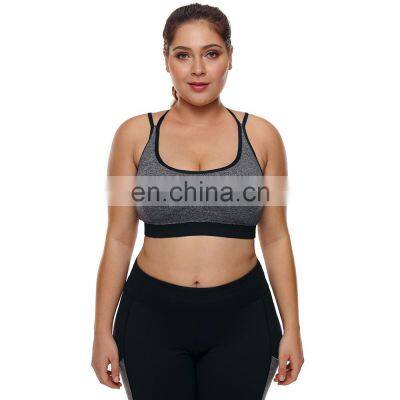 Wholesale OEM Custom Logo Gym Push Up Designer High Impact Spandex Women's Top Fitness Wear Yoga Sports Bra