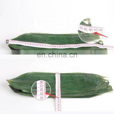 Big Size Bamboo Leaf Sushi Food Dish Vacuum Packaging Fresh Bamboo Leaves
