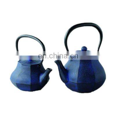 Pumpkin Tea Kettle with 2 Cups Japanese Tea Set with Stainless Steel Infuser Enamel Tetsubin Chinese Cast Iron Teapot Pot Set