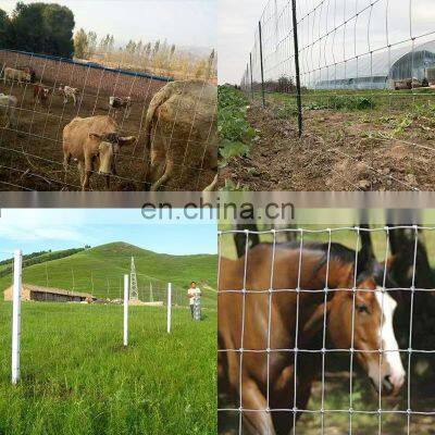 Hot Dipped Galvanized Welded Wire Mesh Poultry Fence Wire Mesh Panel