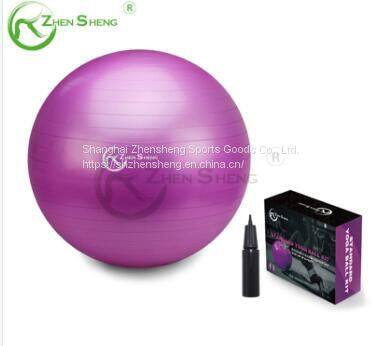 Classic Style Economical Exercise Pilates Swiss Fitness Balance Yoga Ball Hot Sale