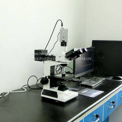 CH1T 4.90mm